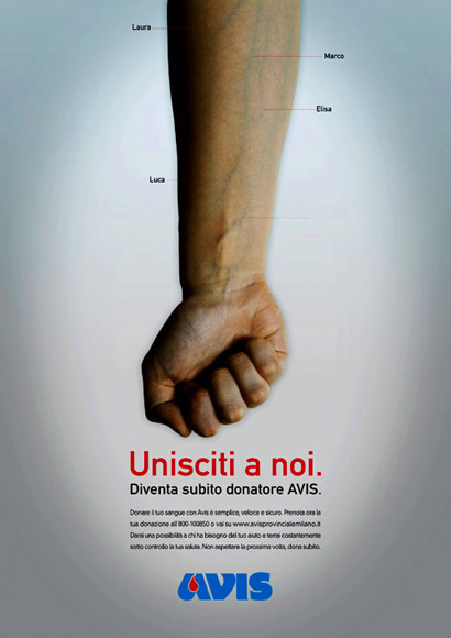avis_2